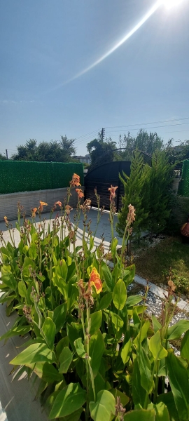 Villa Mell 2